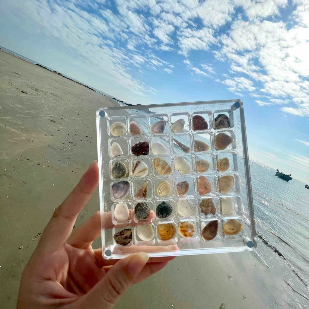 ❤️Acrylic Magnetic Seashell Display Box