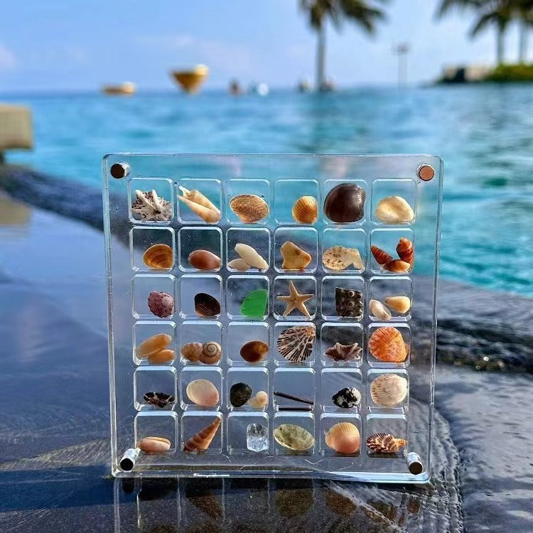 ❤️Acrylic Magnetic Seashell Display Box