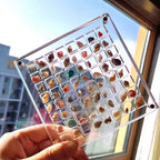 ❤️Acrylic Magnetic Seashell Display Box