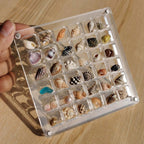 ❤️Acrylic Magnetic Seashell Display Box