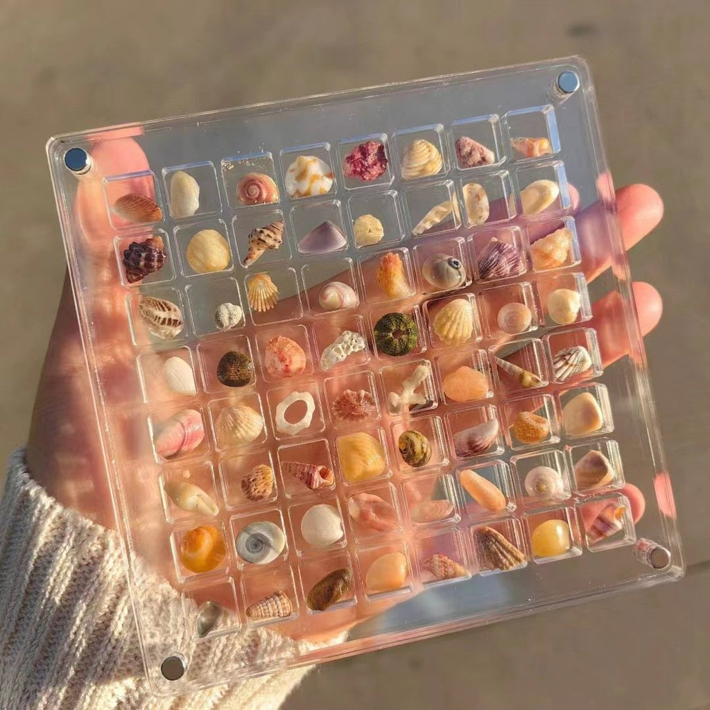 ❤️Acrylic Magnetic Seashell Display Box