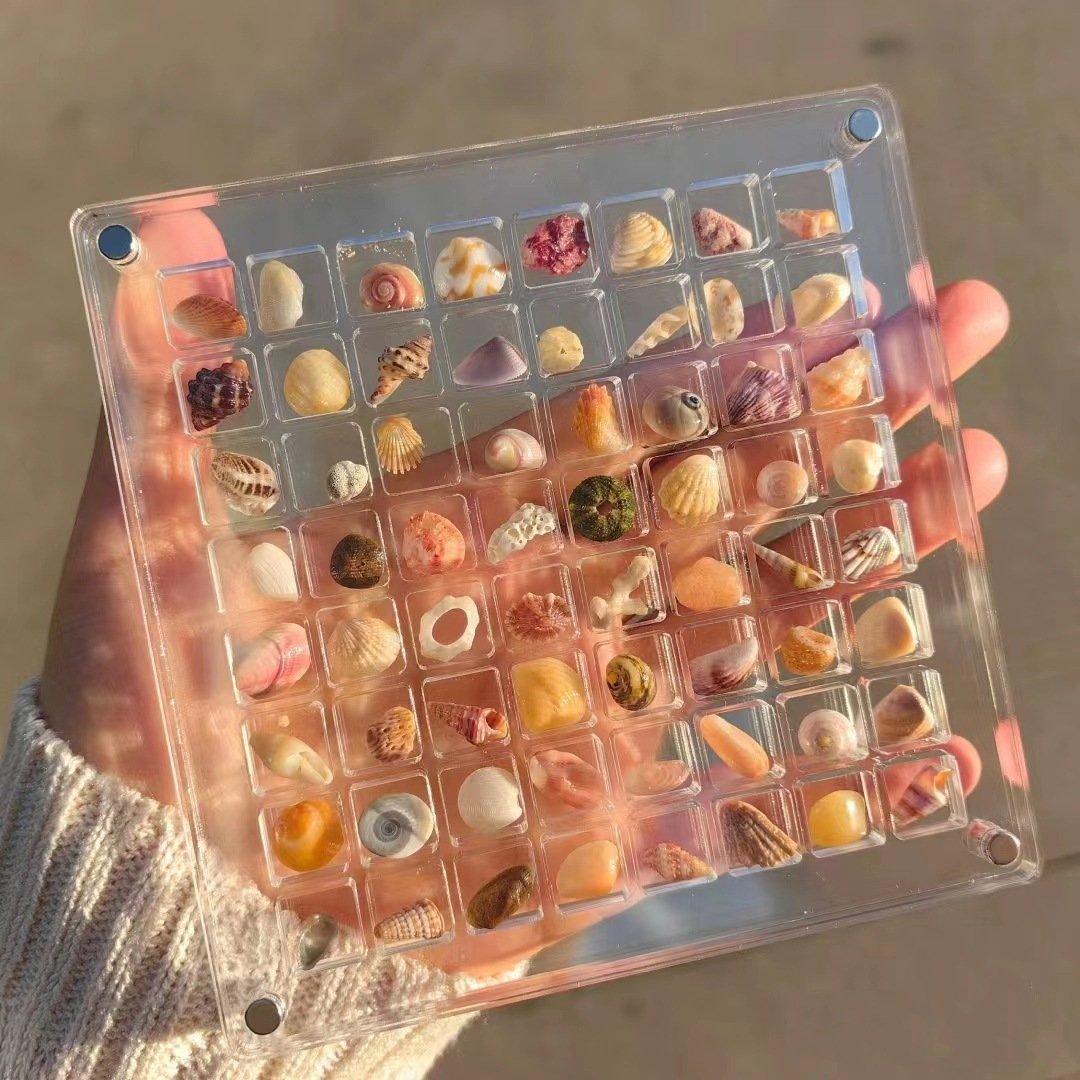 ❤️Acrylic Magnetic Seashell Display Box